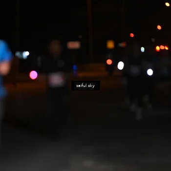 Runner Photo 4522747