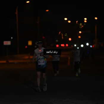 Runner Photo 4522785