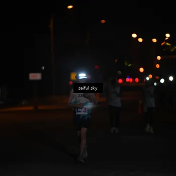 Runner Photo 4522791