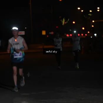 Runner Photo 4522796