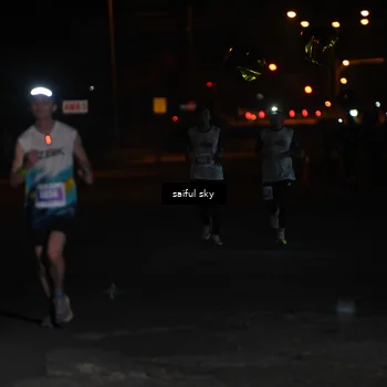 Runner Photo 4522797