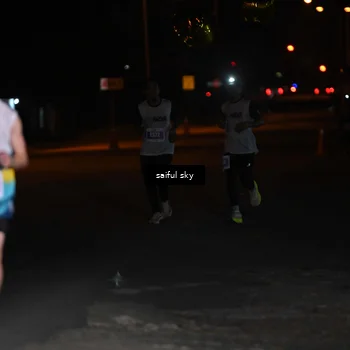 Runner Photo 4522804