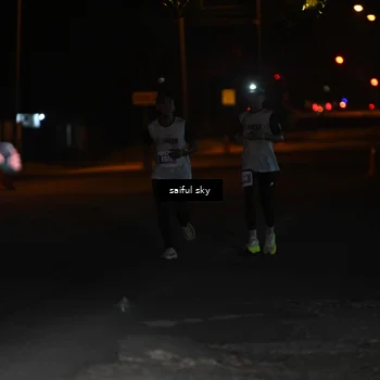 Runner Photo 4522809