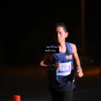 Runner Photo 4522851