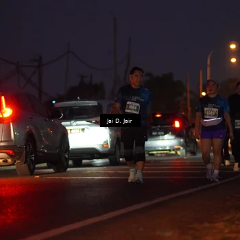 Runner Photo 4522954