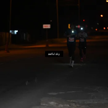 Runner Photo 4523030
