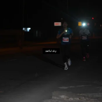 Runner Photo 4523039