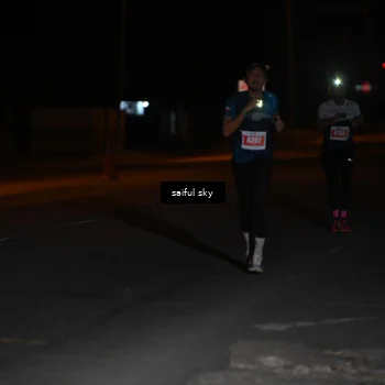 Runner Photo 4523040