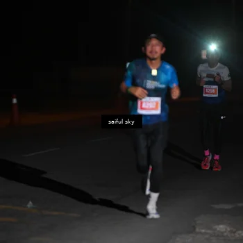 Runner Photo 4523041