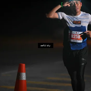 Runner Photo 4523060