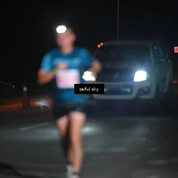 Runner Photo 4523074