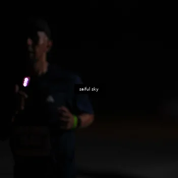 Runner Photo 4523140