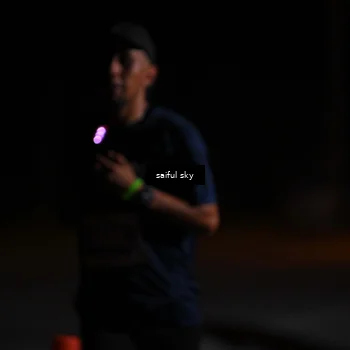 Runner Photo 4523144