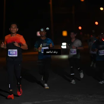 Runner Photo 4523153