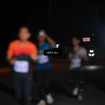 Runner Photo 4523159