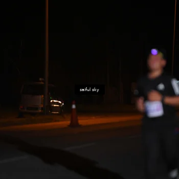 Runner Photo 4523191