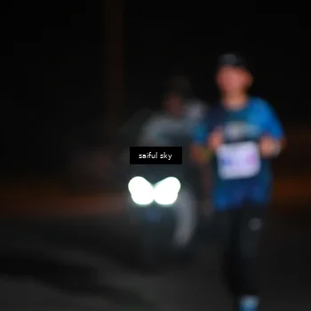 Runner Photo 4523230