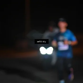 Runner Photo 4523237