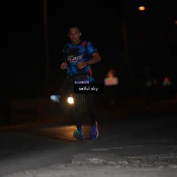 Runner Photo 4523342