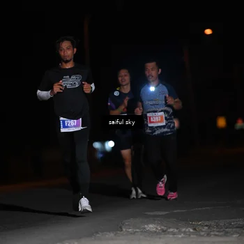 Runner Photo 4523356