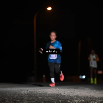 Runner Photo 4523440