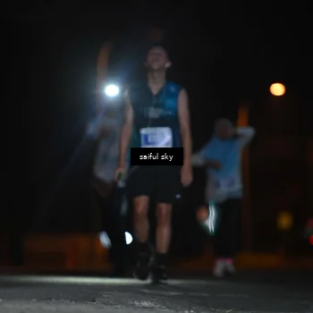 Runner Photo 4523605