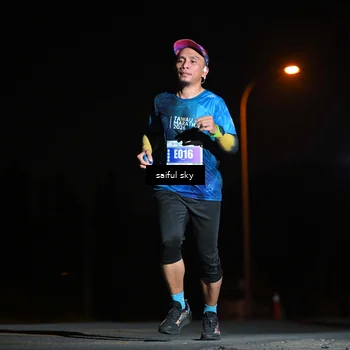 Runner Photo 4523630