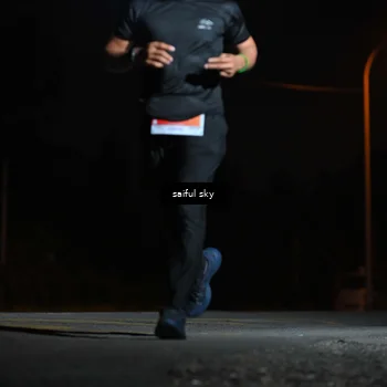 Runner Photo 4523636