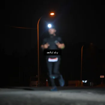 Runner Photo 4523643