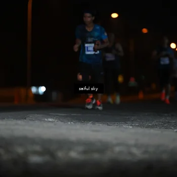 Runner Photo 4523645