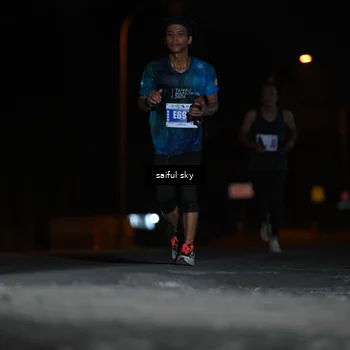 Runner Photo 4523647