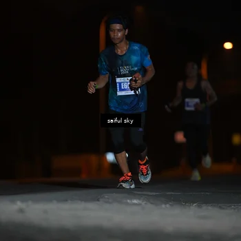 Runner Photo 4523648