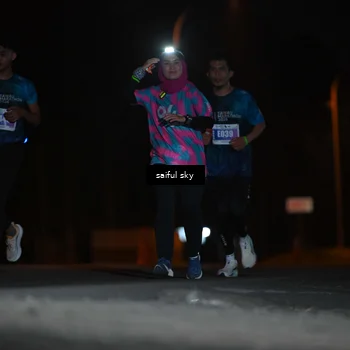 Runner Photo 4523725