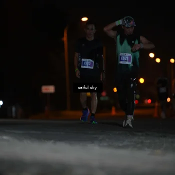 Runner Photo 4523732