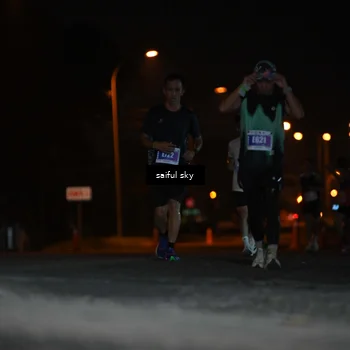 Runner Photo 4523742