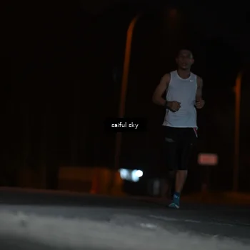 Runner Photo 4523765