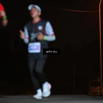 Runner Photo 4523919