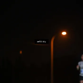 Runner Photo 4523929