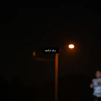Runner Photo 4523951