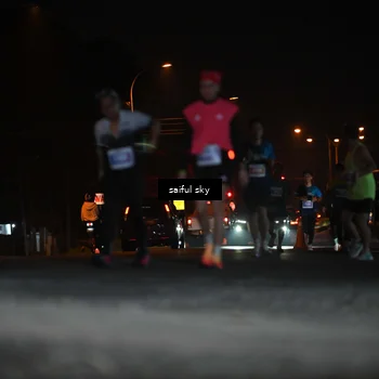 Runner Photo 4523991