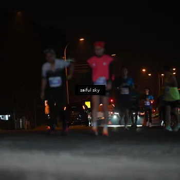 Runner Photo 4523997