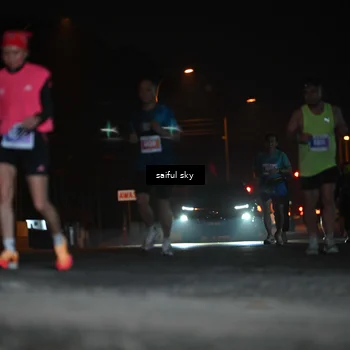 Runner Photo 4524003