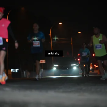 Runner Photo 4524006