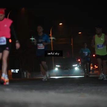 Runner Photo 4524007