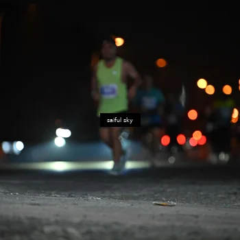 Runner Photo 4524010