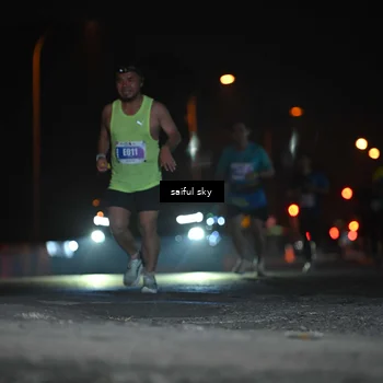 Runner Photo 4524014