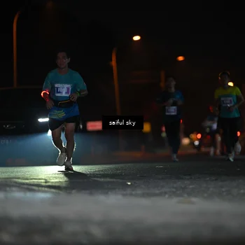 Runner Photo 4524019