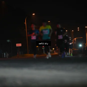 Runner Photo 4524020
