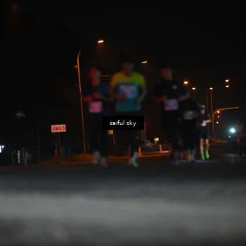 Runner Photo 4524022