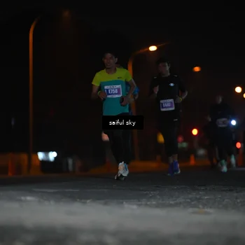 Runner Photo 4524024